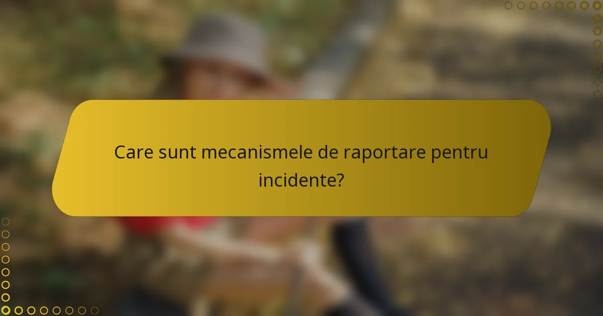 Care sunt mecanismele de raportare pentru incidente?