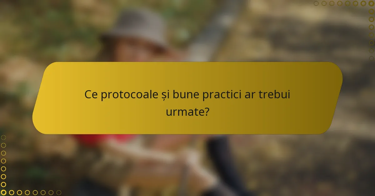 Ce protocoale și bune practici ar trebui urmate?