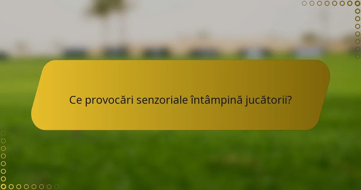 Ce provocări senzoriale întâmpină jucătorii?